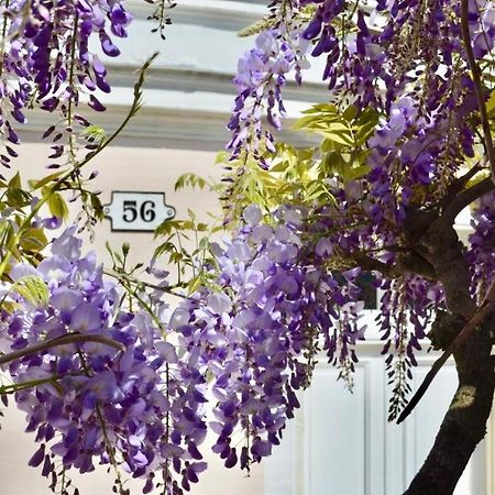 مبيت وإفطار فونتانبلو Wisteria المظهر الخارجي الصورة