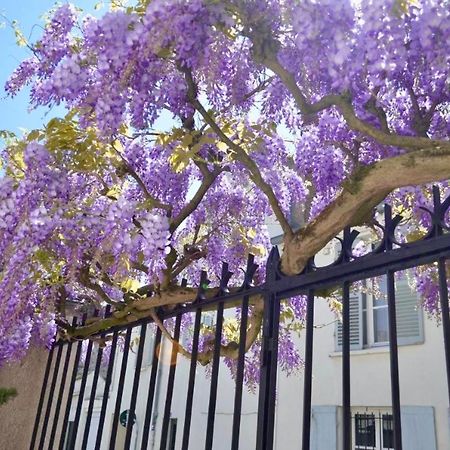 مبيت وإفطار فونتانبلو Wisteria المظهر الخارجي الصورة