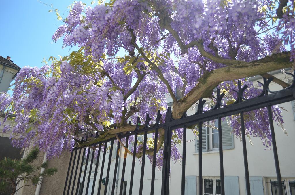 مبيت وإفطار فونتانبلو Wisteria المظهر الخارجي الصورة