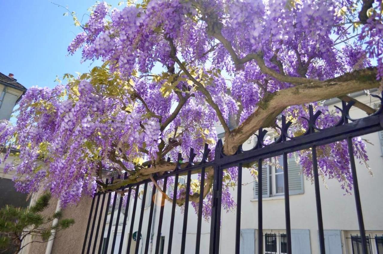 مبيت وإفطار فونتانبلو Wisteria المظهر الخارجي الصورة